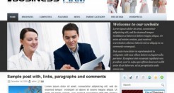BusinessFirm WP Theme